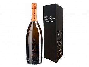 Nani Rizzi Valdobbiadene Brut DOCG 1,5l (krabička)