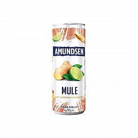 Amundsen + Soda bezinka 6% 0,25 l (plech)